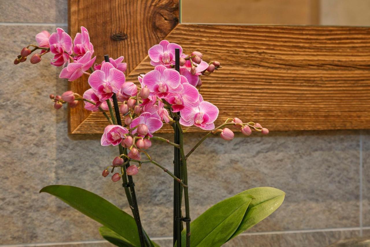 Innerluferhof Rifiano Ngoại thất bức ảnh